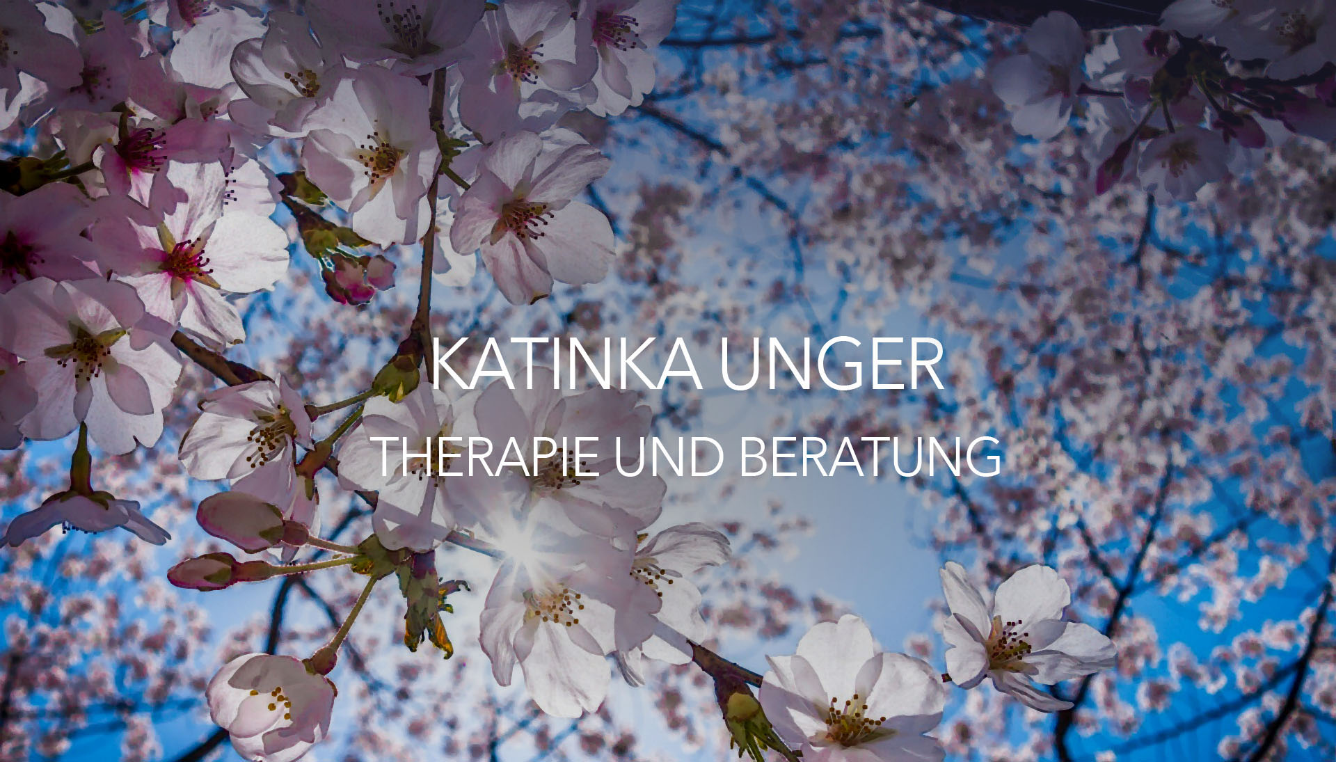 Hintergrundgrafik